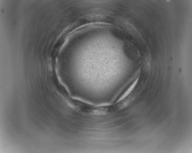 X0000080200232200612221413