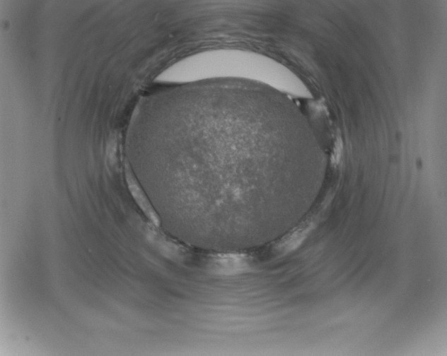 X0000080200233200612221413