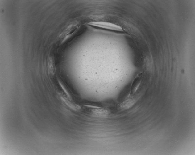 X0000080200234200612221413