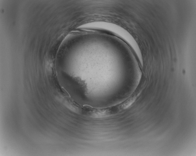 X0000080200235200612221413