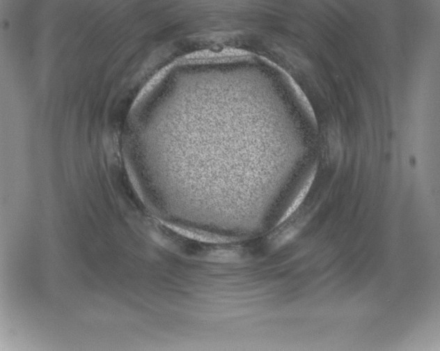 X0000080200236200612221413