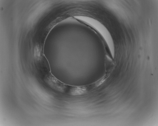 X0000080200239200612221413