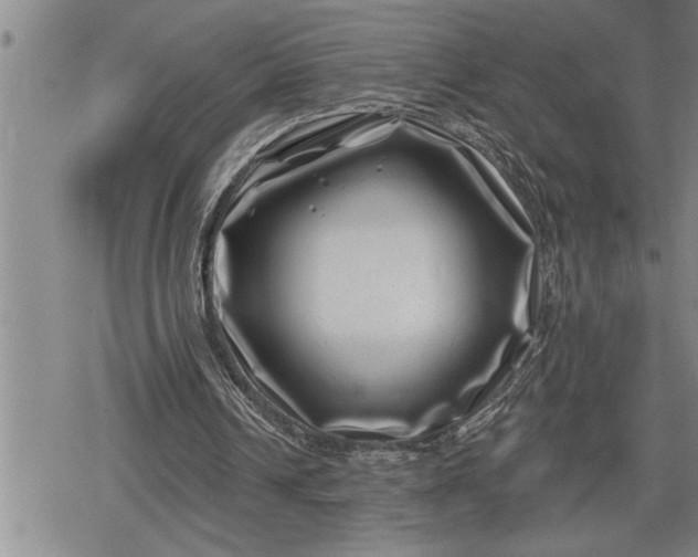 X0000080200242200612221412