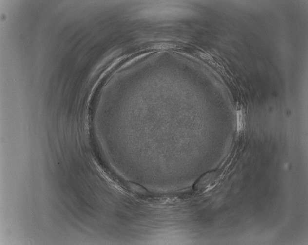 X0000080200243200612221412