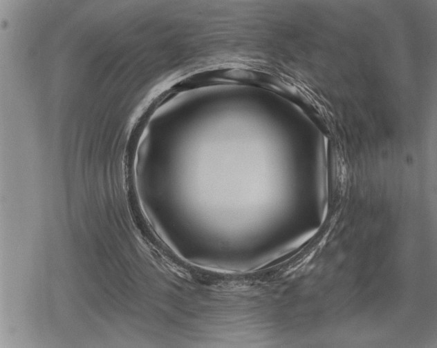 X0000080200244200612221412