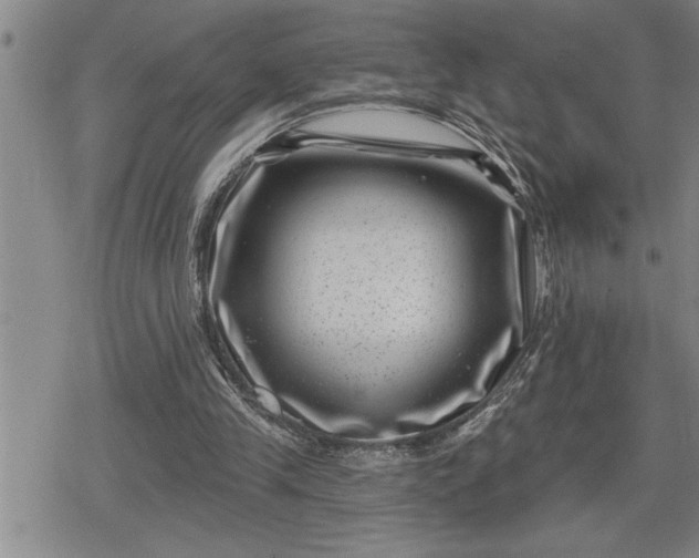 X0000080200245200612221412