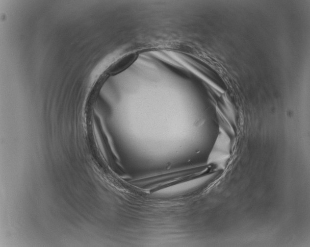 X0000080200246200612221412