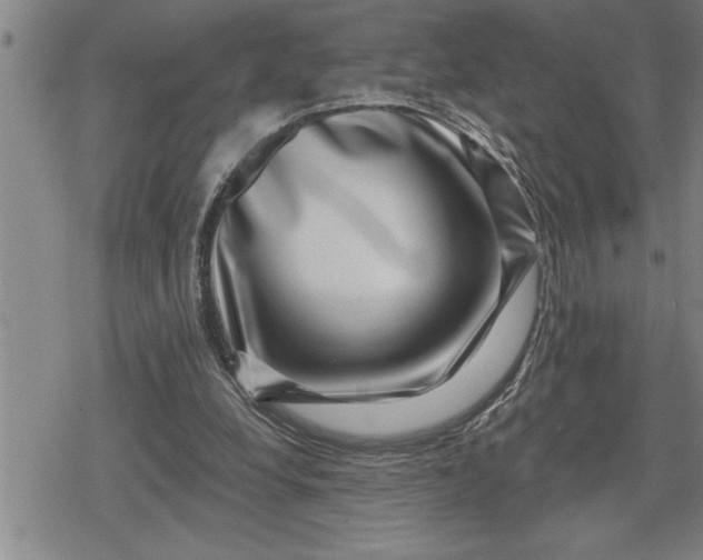 X0000080200248200612221412