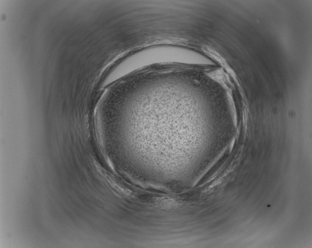 X0000080200249200612221412