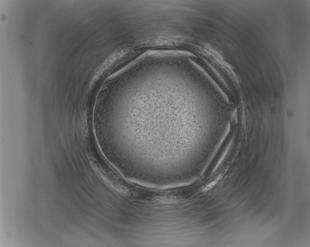 X0000080200250200612221413