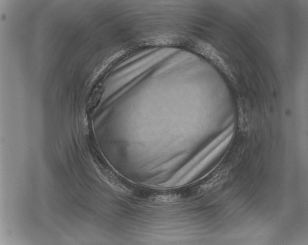 X0000080200251200612221413