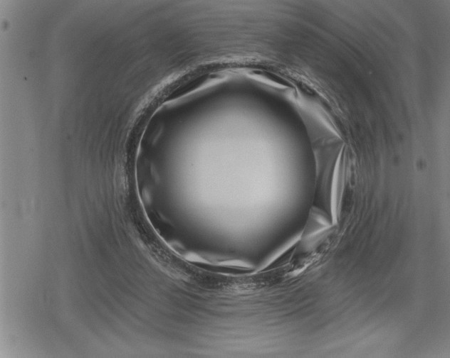 X0000080200252200612221413