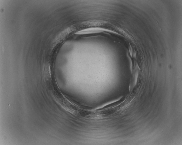 X0000080200254200612221413