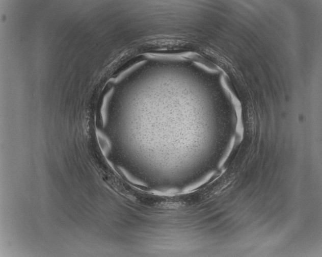 X0000080200255200612221413