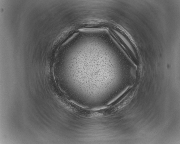 X0000080200257200612221413