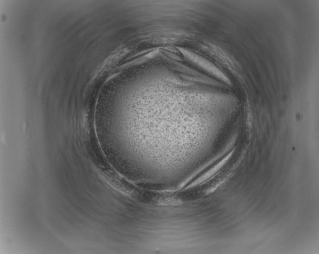 X0000080200258200612221413