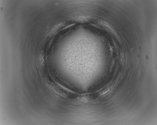 X0000080200259200612221413