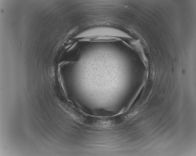 X0000080200260200612221413