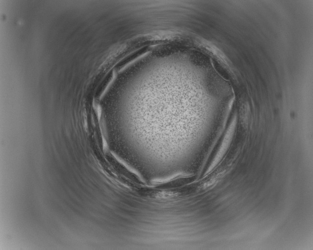 X0000080200261200612221413