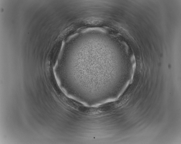 X0000080200263200612221413