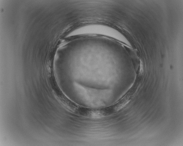 X0000080200264200612221413