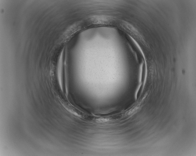 X0000080200265200612221413