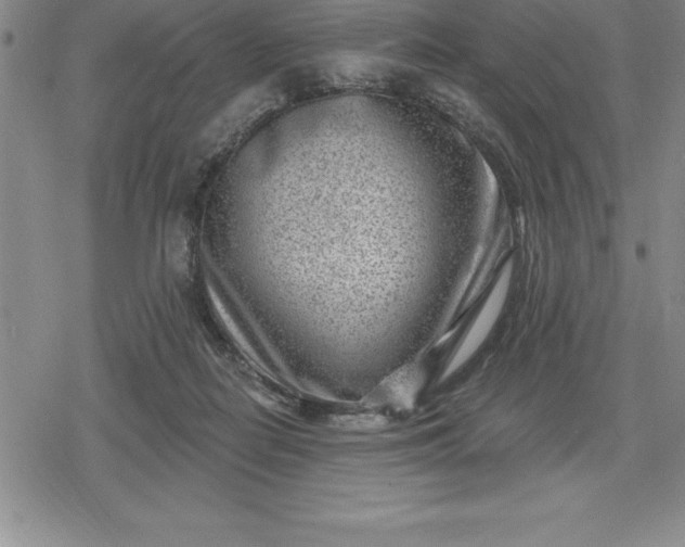 X0000080200266200612221413