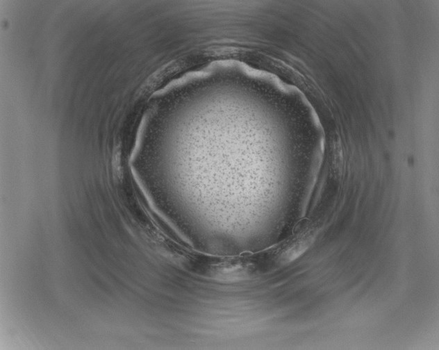 X0000080200267200612221413