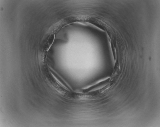 X0000080200268200612221413