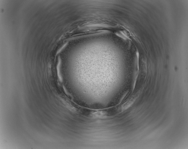 X0000080200269200612221413