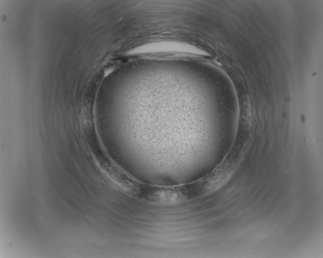 X0000080200272200612221413