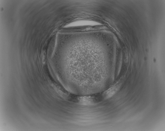 X0000080200273200612221413