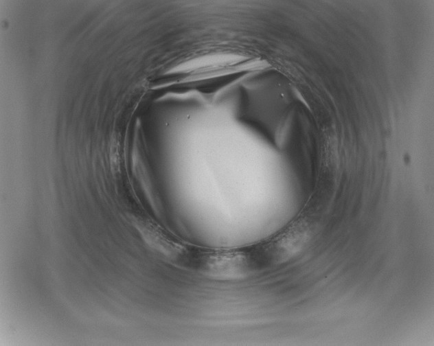 X0000080200274200612221413