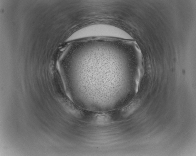 X0000080200275200612221413