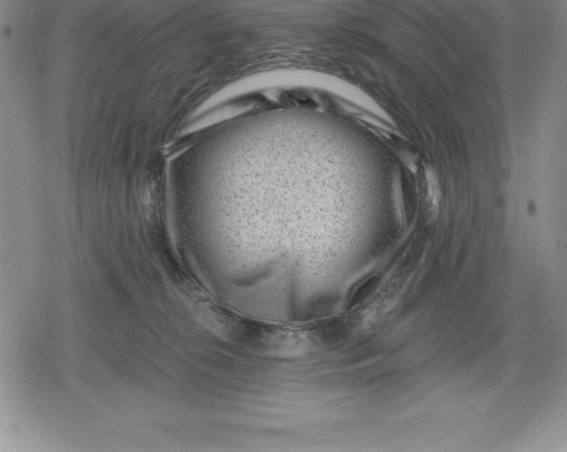 X0000080200276200612221413