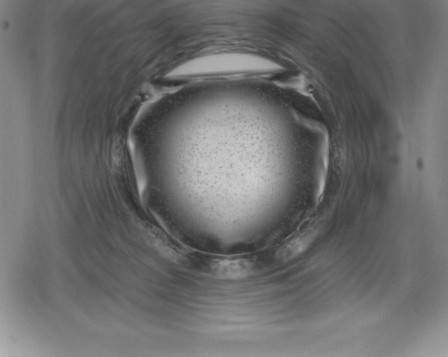 X0000080200277200612221413