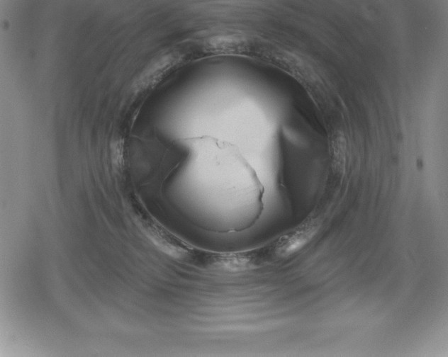 X0000080200278200612221413