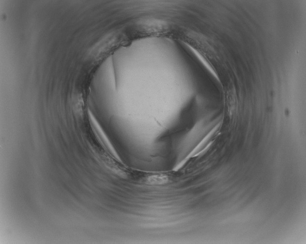 X0000080200279200612221413