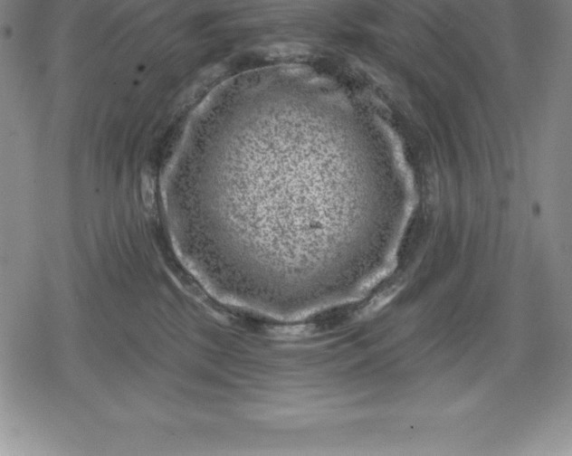 X0000080200281200612221413