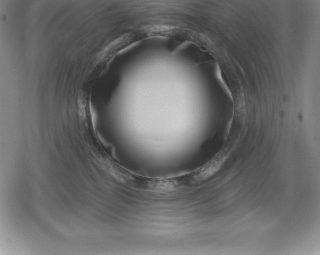 X0000080200282200612221413