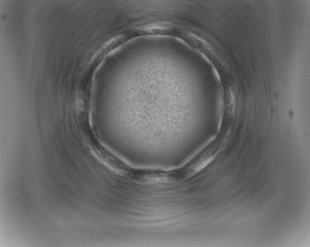 X0000080200284200612221413