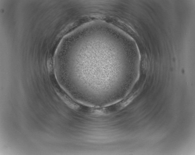 X0000080200285200612221413