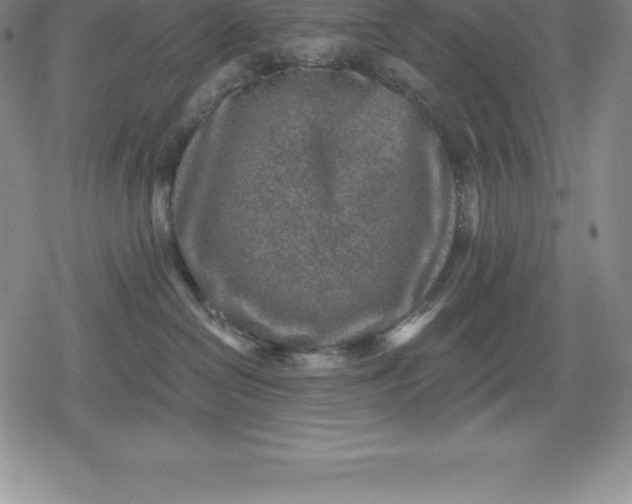 X0000080200286200612221413