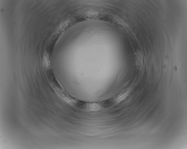 X0000080200287200612221413