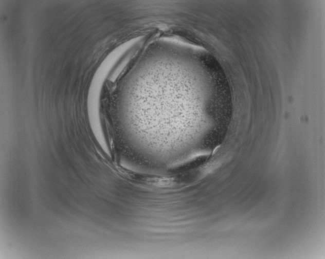 X0000080200288200612221413