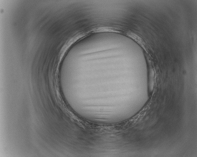 X0000080200289200612221412