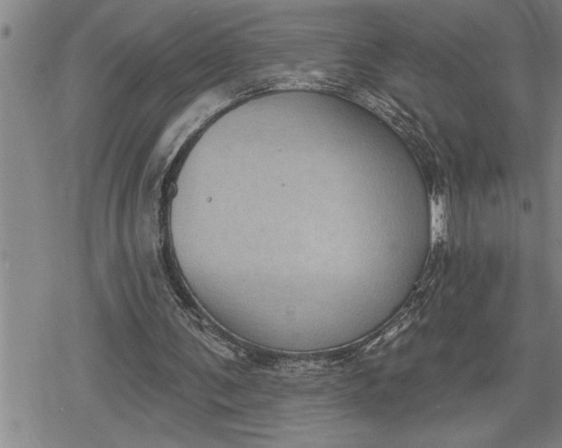 X0000080200291200612221412