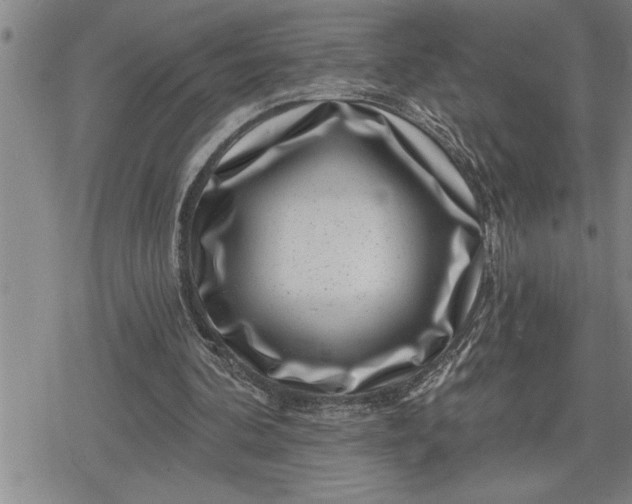 X0000080200292200612221412