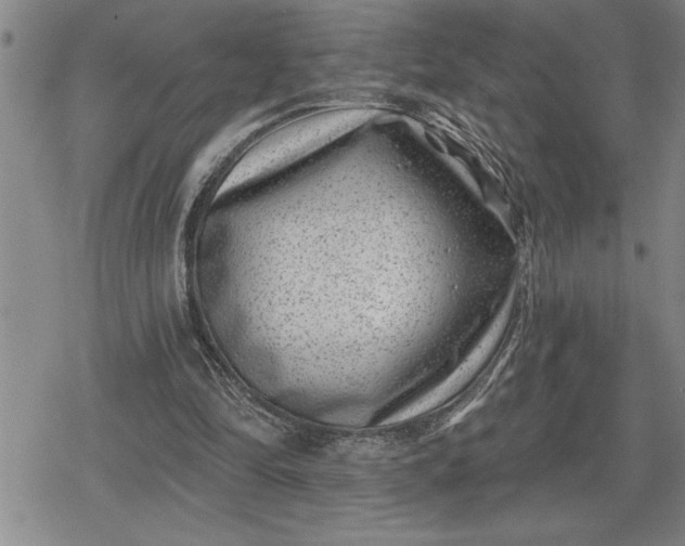 X0000080200294200612221412