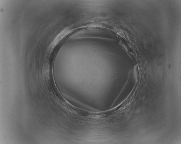 X0000080200295200612221412